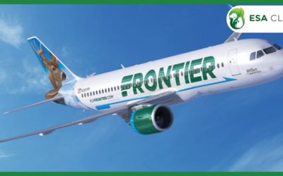 Frontier Airlines Pet Policy: 2026 Guide to Fees, Carriers & Service Animal Rules