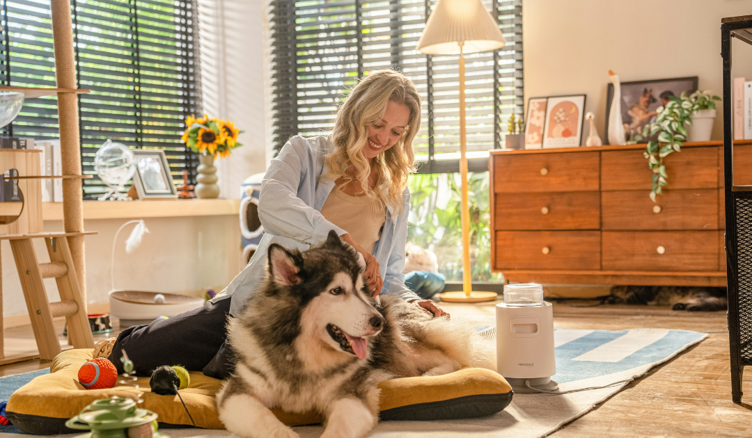 Is an Emotional Support Animal an Assistance Animal?