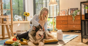 Is an Emotional Support Animal an Assistance Animal?