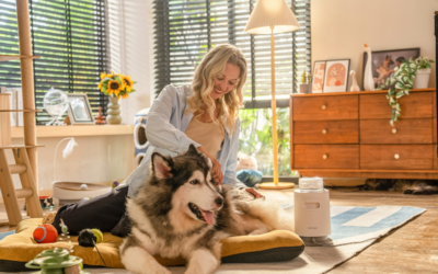 Is an Emotional Support Animal an Assistance Animal?