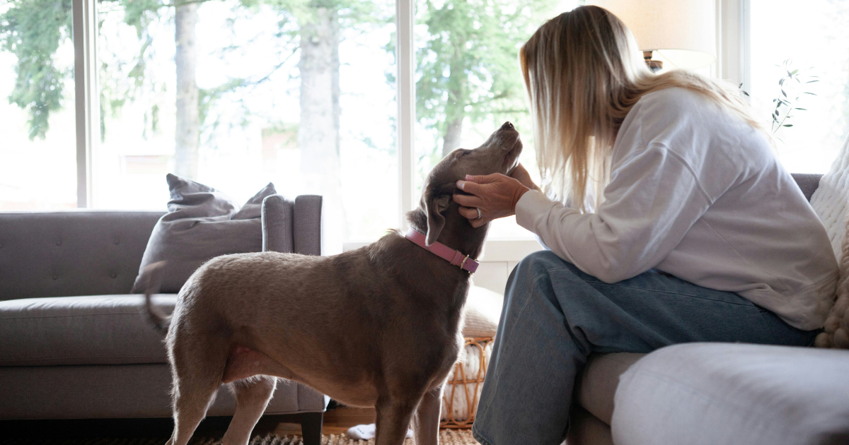 How to Register Your Dog as an Emotional Support Animal