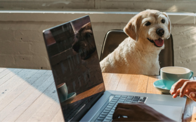 What Are Service Dogs for ADHD? How to Get One