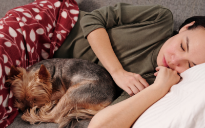 Service Dogs for Anxiety: Tasks, Qualifications, and How to Get One