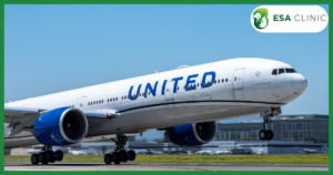 United Airlines Pet Policy