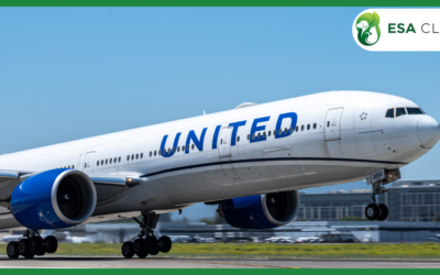 United Airlines Pet Policy: 2026 Guide to Fees, Carriers & Service Animal Rules