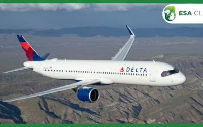 Delta Airlines Pet Policy: 2026 Guide to Fees, Carriers & Service Animal Rules
