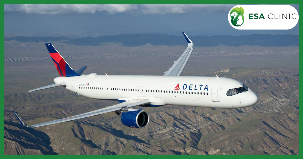 Delta Airlines Pet Policy